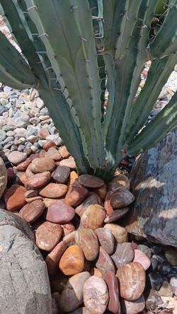 Red 2" - 3" landscaping rocks.