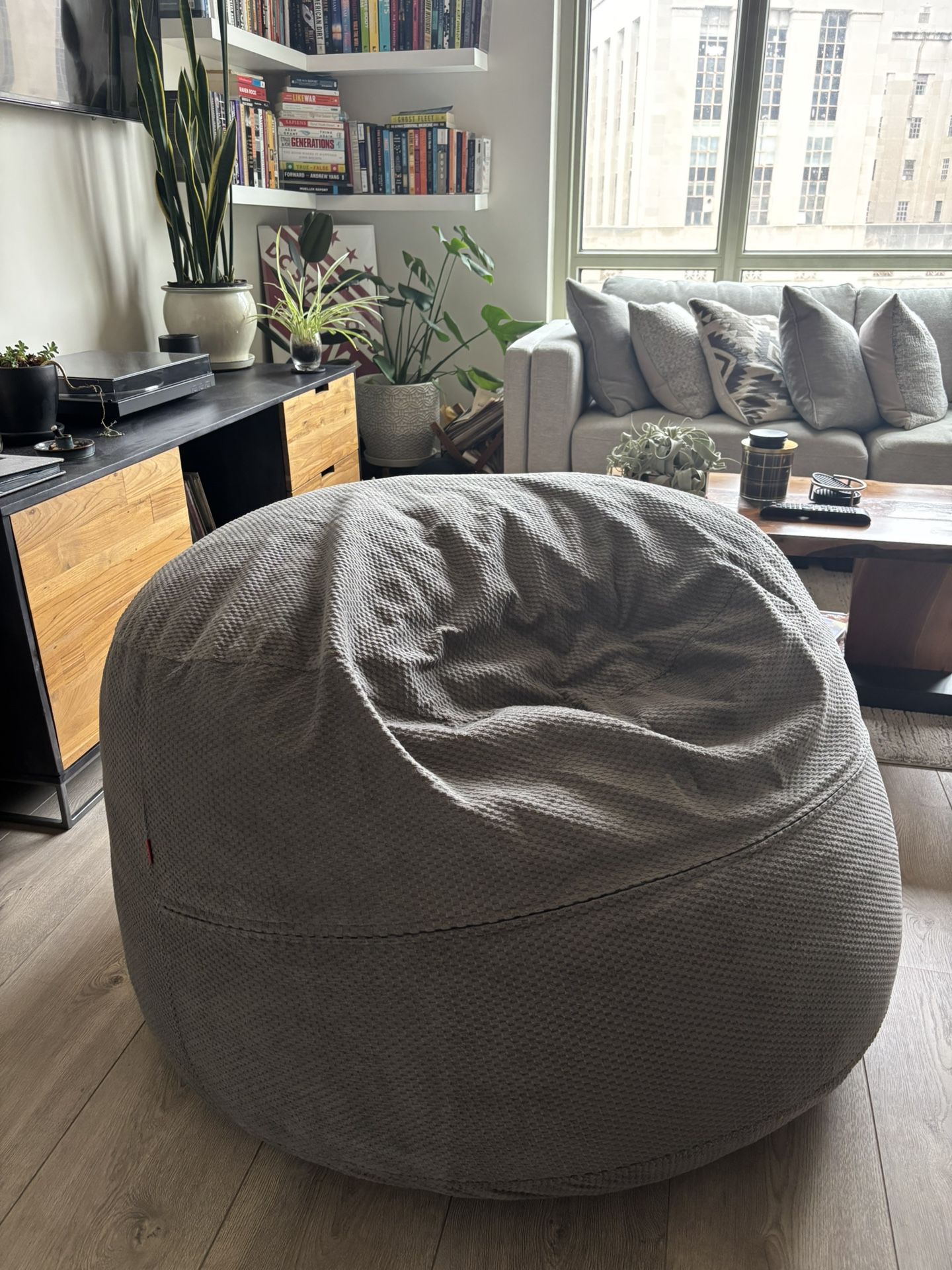 Convertible Bean Bag Chair to Full Size Bed