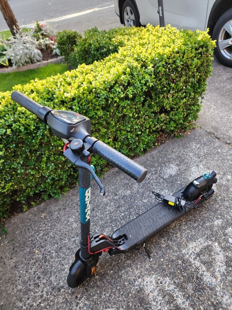 gotrax apex pro Scooter