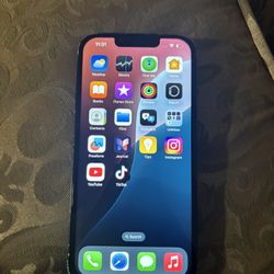 iPhone 13