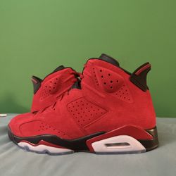 Nike Air Jordan 6 Toro Size 12
