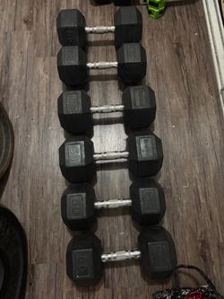 ROGUE Dumbbell weights 2x55 with wear and tear 2x60 and 2x50 lbs  (330 TOTAL WEIGHT ) $280 FIRM