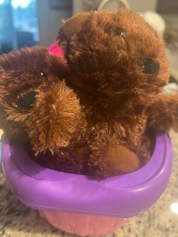 Soft bears with clothing and hangers