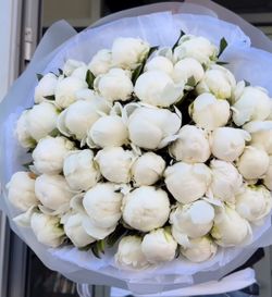 Peonies bouquet