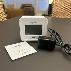 Dual Alarm Clock w/usb Charger