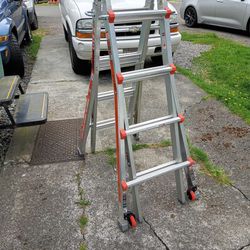 Little Giant Ladder.