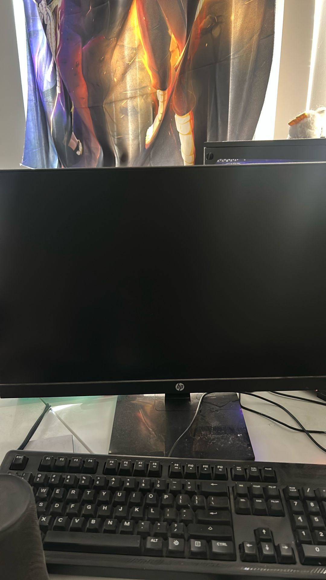 Computer Monitor