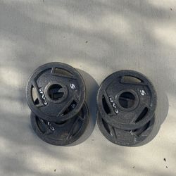 weights 5 pounds each