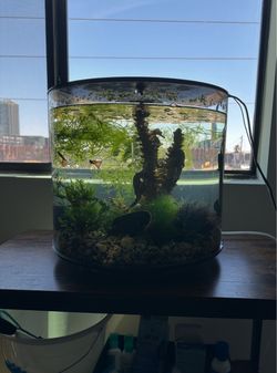 BiOrb Tube 35 (9.2g) Aquarium with Accessories