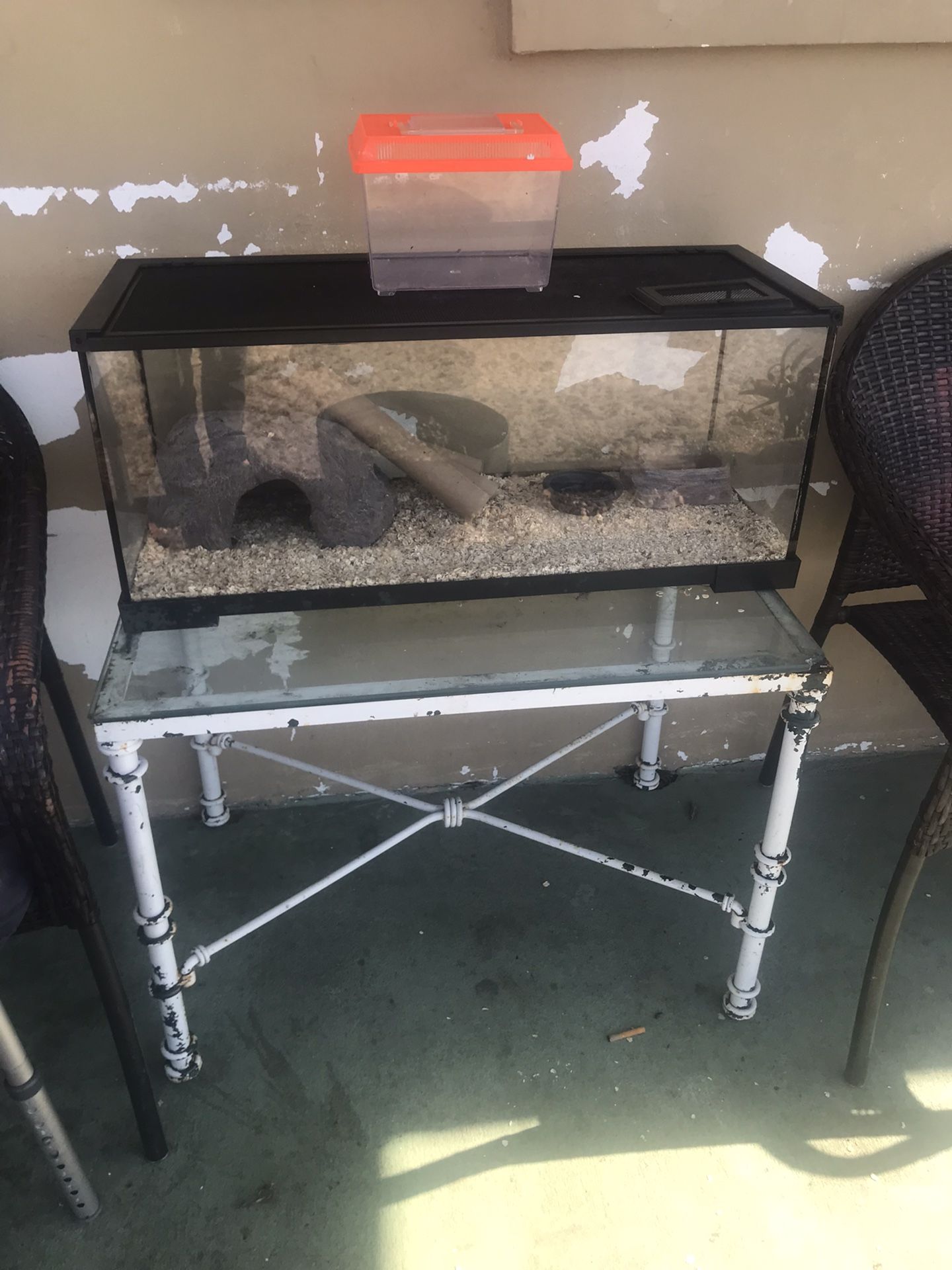 Reptile Enclosure With Cricket Keeper