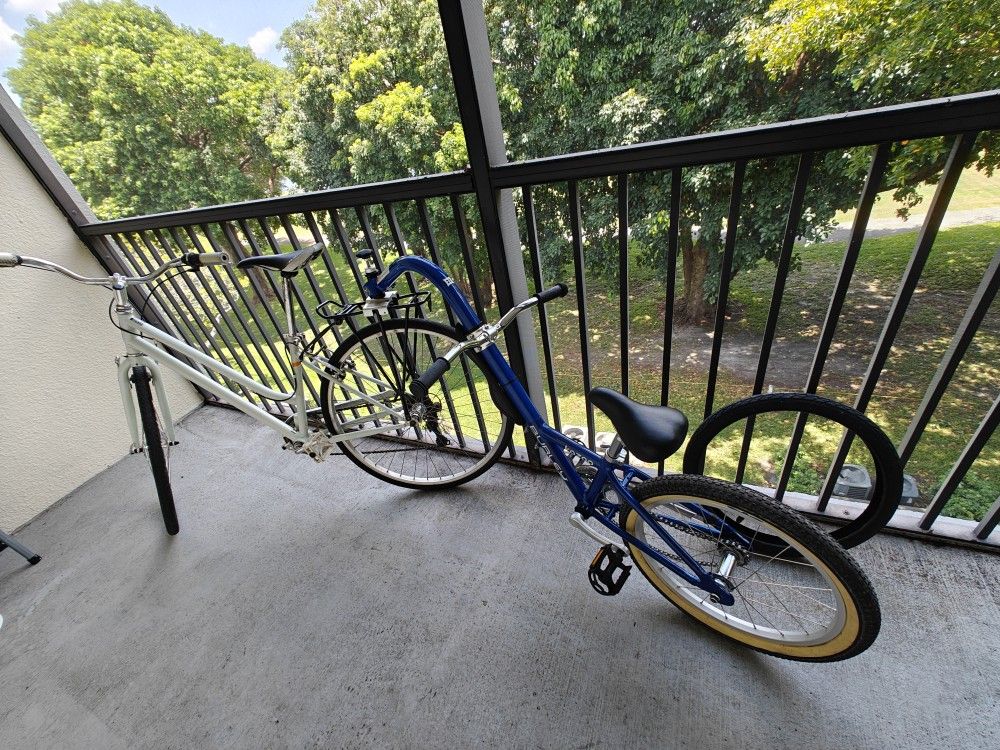 Bicycle And Trailer For Child