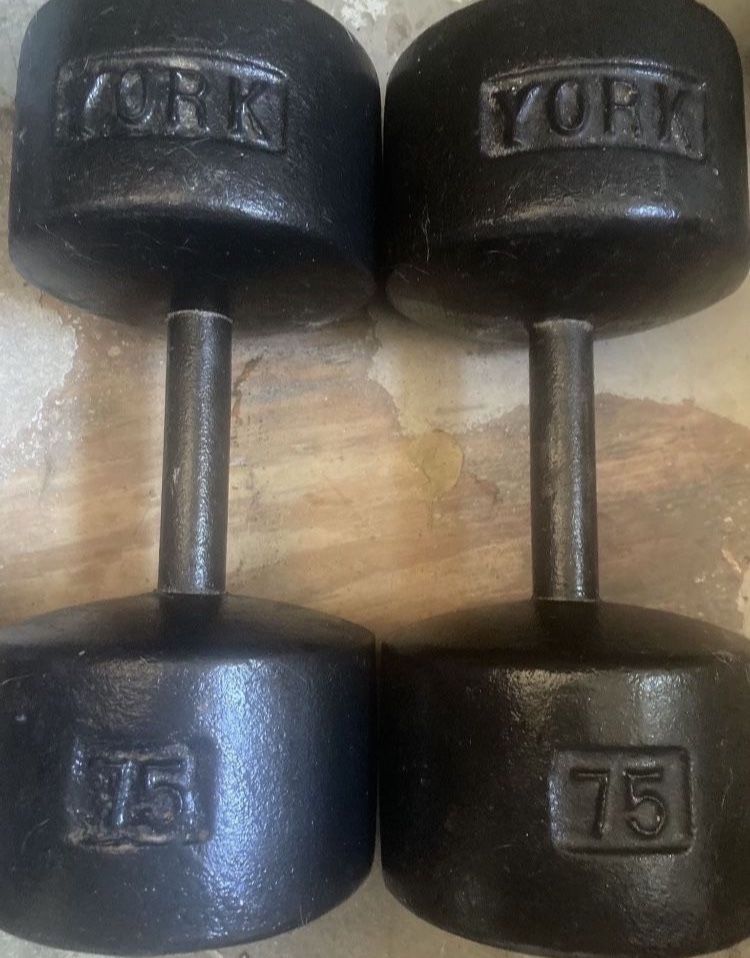 75lbs York Roundhead Dumbbells