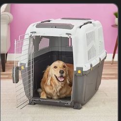 Pet Kennel