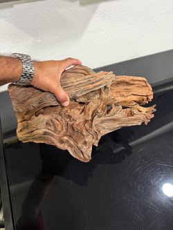 Decoracion Grande para Terrario