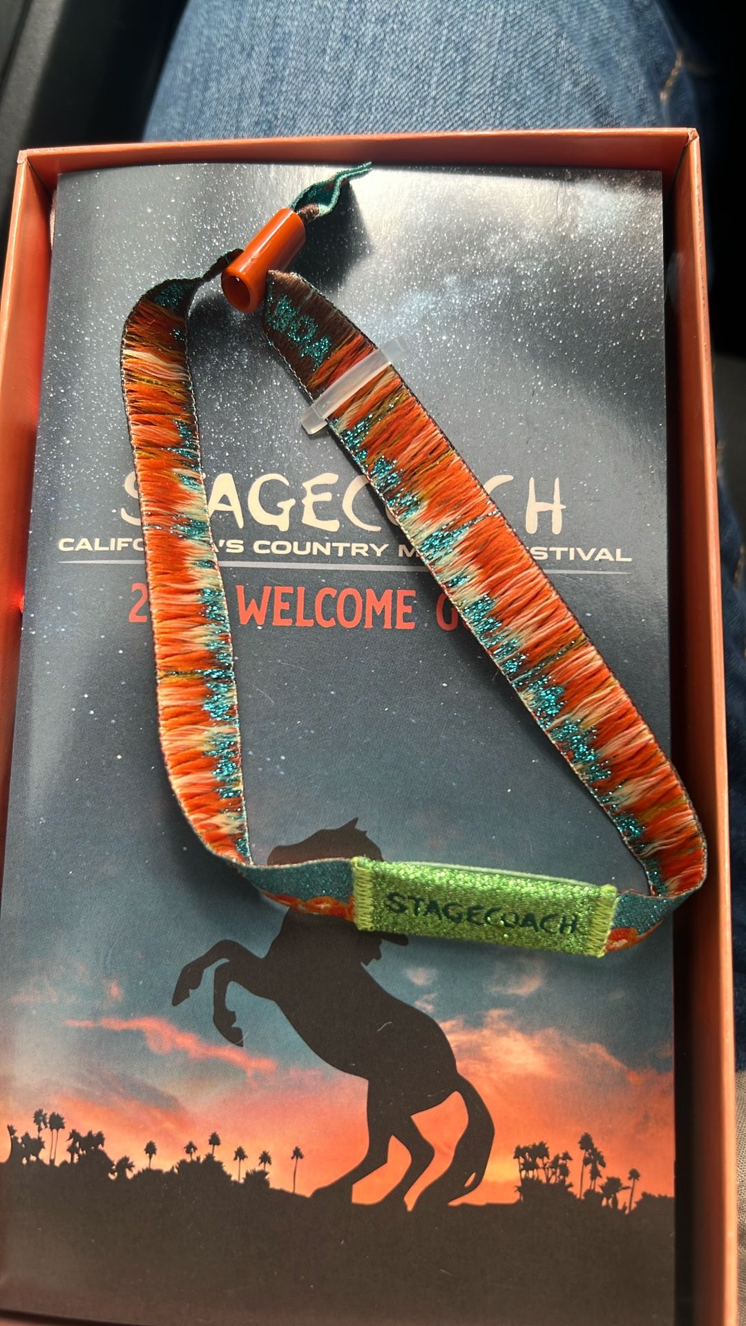 Stagecoach Sunday Only