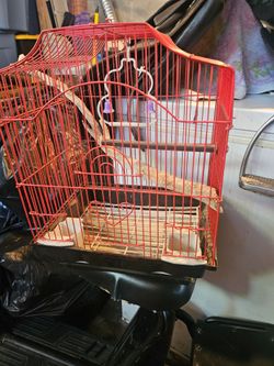 Jaulas/cages
