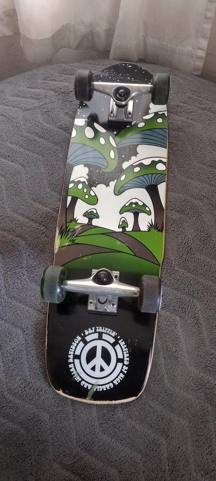 Cruiser Skateboard