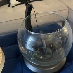 Fish Tank With Food And Plants Rocks 