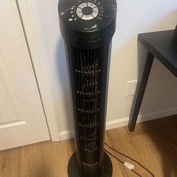 Standing Fan