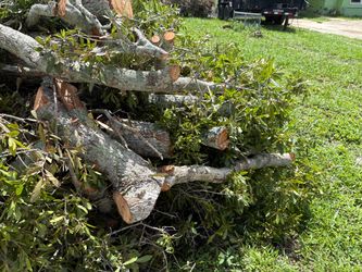 Free fire wood 523 skyview ave clearwater Fl