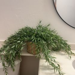 Green Fake Plant