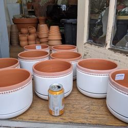 1/16/20 - Be Here for Pottery, Plants, & Beer for Bodyguards