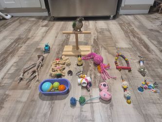 Lots of Bird Toys