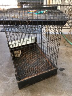 Birds Cage