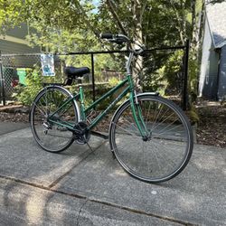 Trek Hybrid Bike