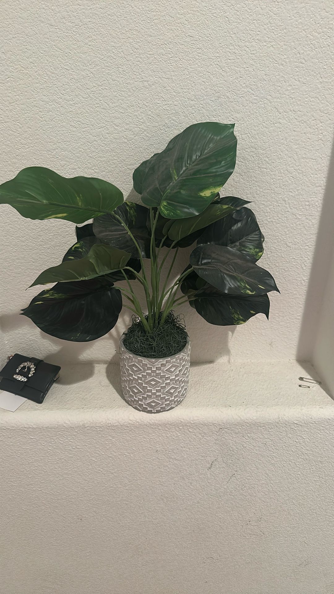 Fake Plant