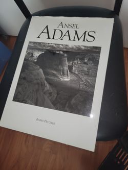Ansel Adams by Barry Pritzker