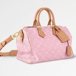 Louis Vuitton Speedy 30