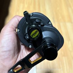 Penn Fathom 25N 2 Speed