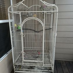 Bird Cage