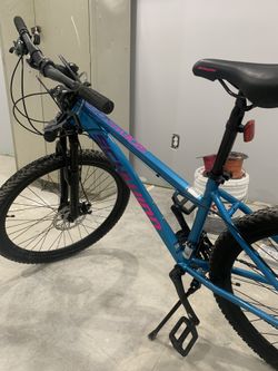 Schwinn Bike