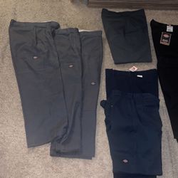 Dickies Pants / Shorts 