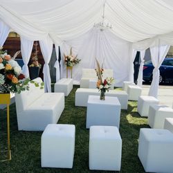 Tent & Draping
