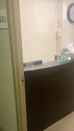 Sneeze guard and face shield