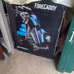Electronic Push Cart (Foresight: Forecaddy)