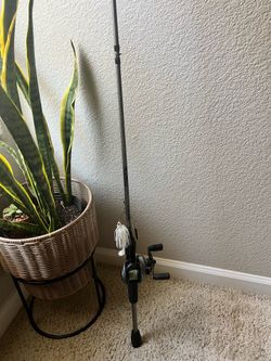 Abu Garcia Max X baitcast combo