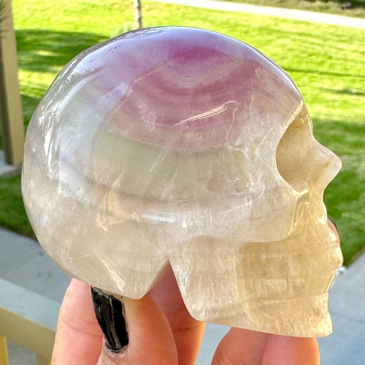 Fluorite Skull