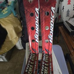 Ski Wine Holder 