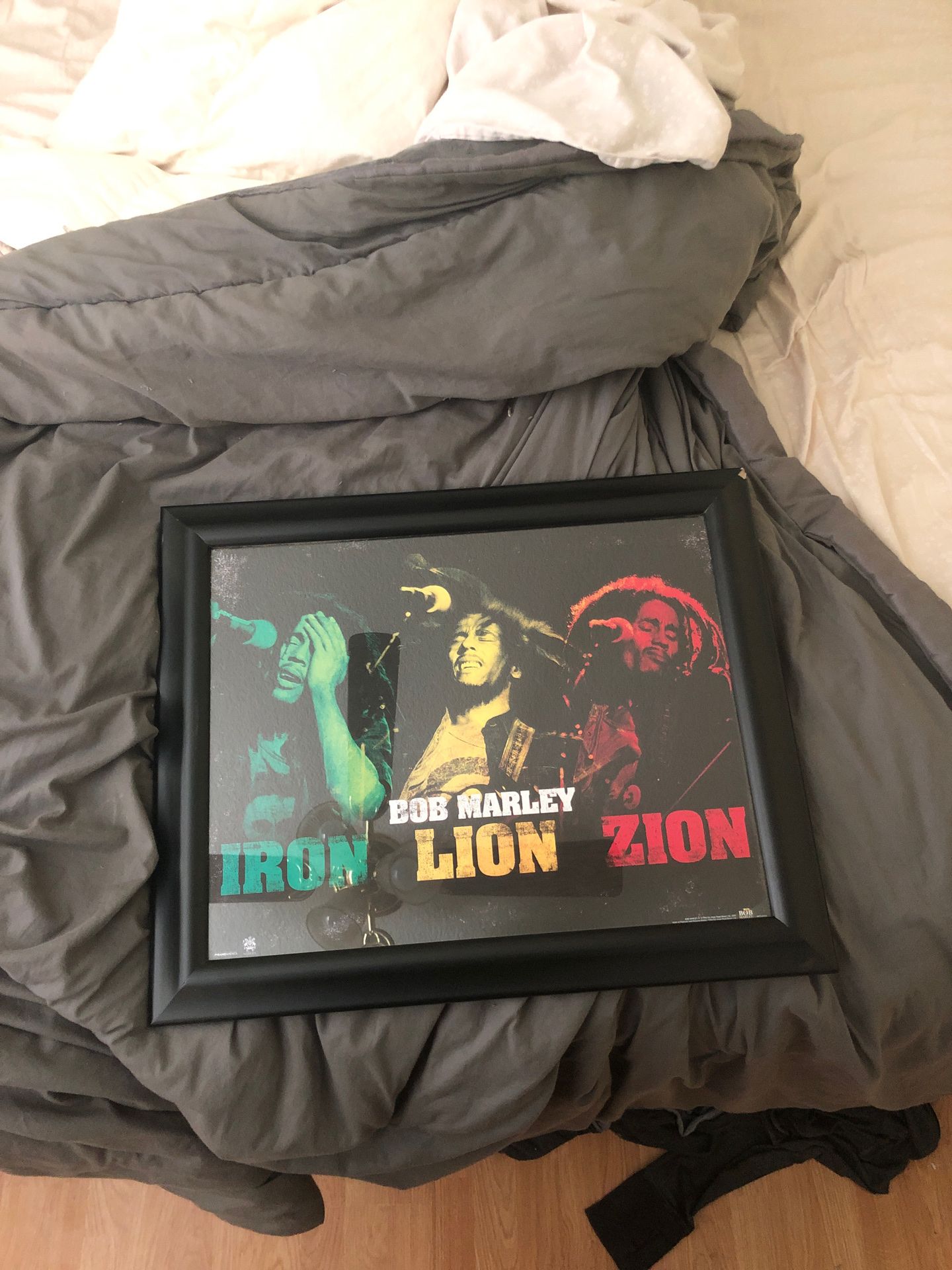 Framed Bob Marley Poster