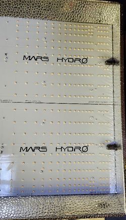 Mars Hydro TS1000 LED grow light (Excepting Offers)