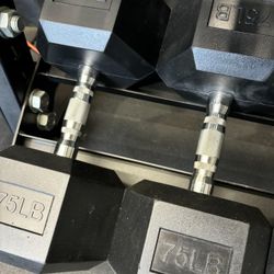 Hex Rubber Dumbbell Pair 75 lb🔥