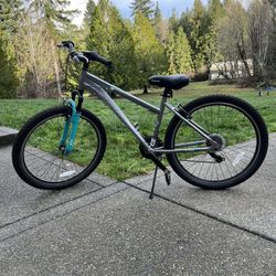 Schwinn sidewinder 26 Aluminum Frame