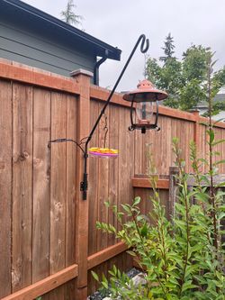 Black mounted cast iron hooks
