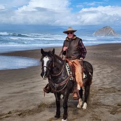 Solid Trail Horse Kid Safe