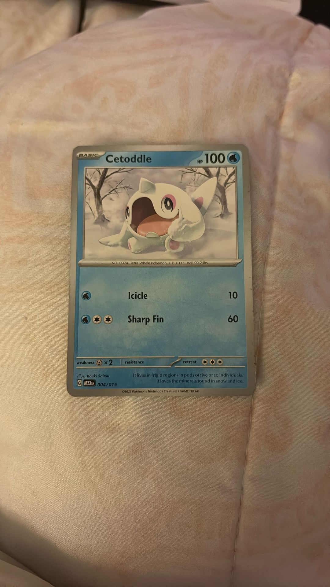 Pokémon Card