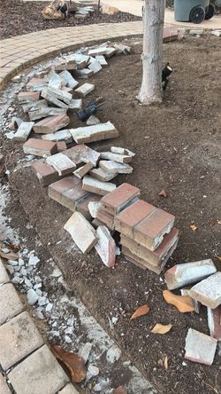Free brick